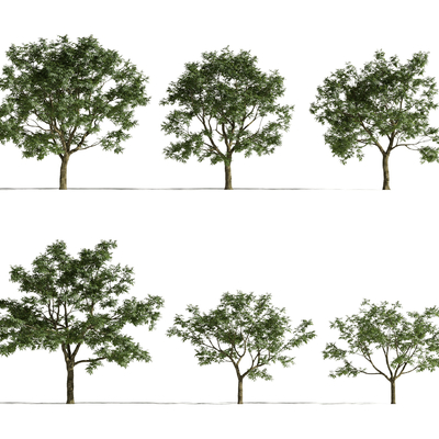 现代金属托盘核桃摆件3d模型