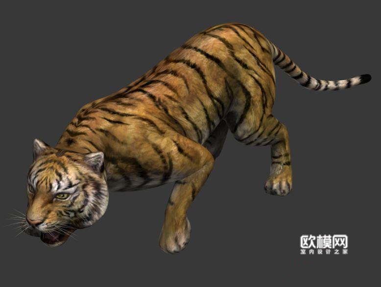 d8凶猛的老虎3d模型下载