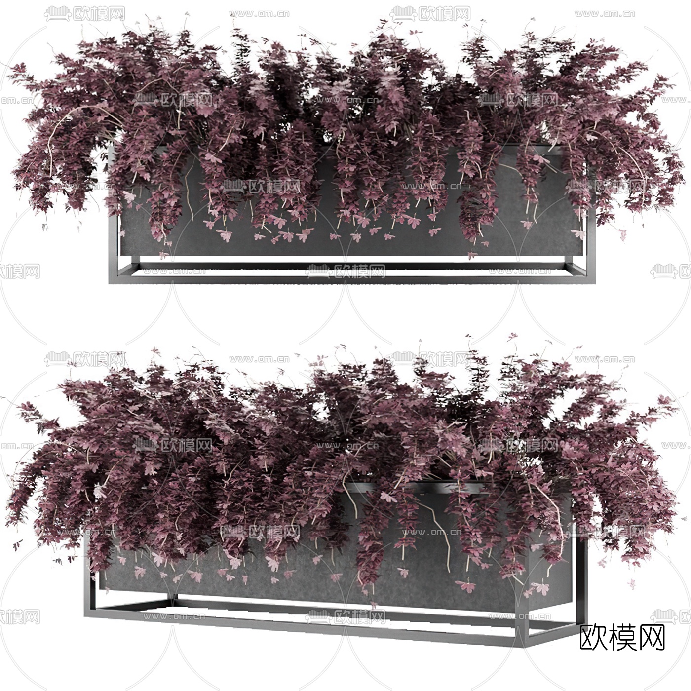 绿植盆栽花坛3d模型下载-3dmax模型免费下载-欧模网