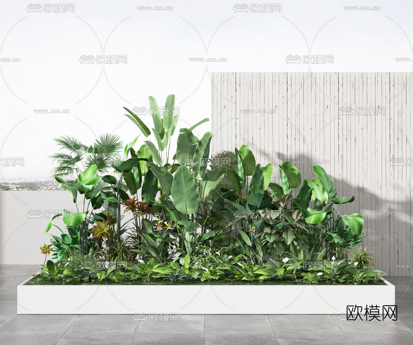 热带绿植花草3d模型下载