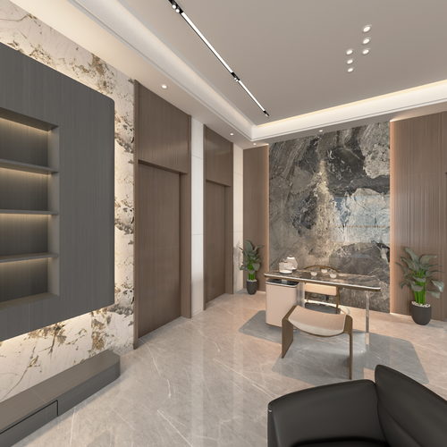 牛围蔡总雅居效果图