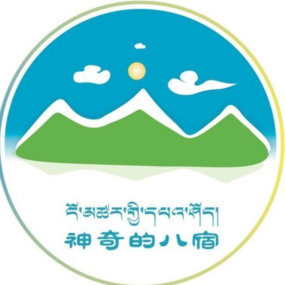 八宿县晚会方案D