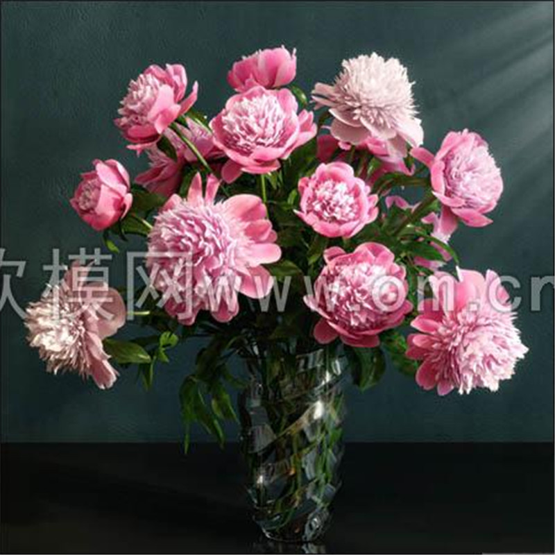 7现代粉色牡丹花盆栽3D模型.jpg
