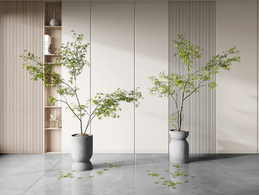 植物盆栽3d模型