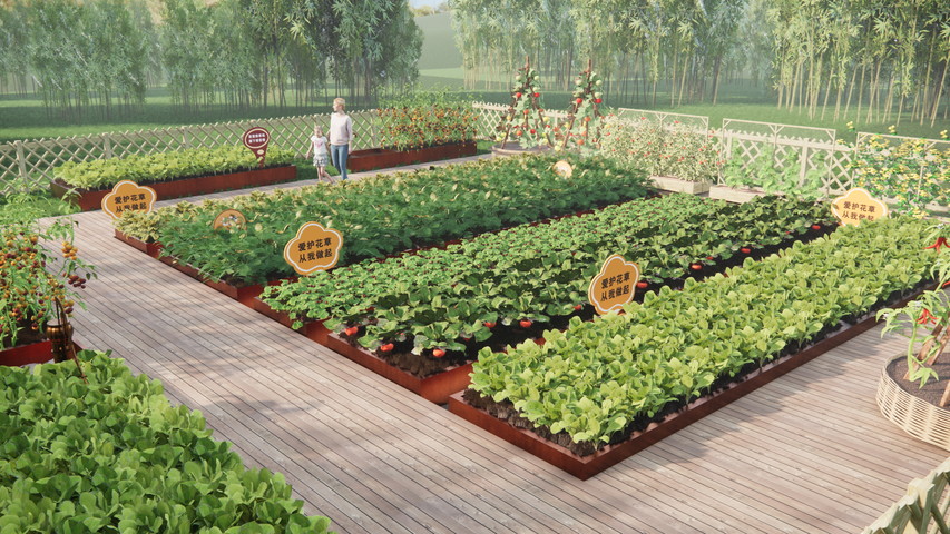 菜地菜园su模型