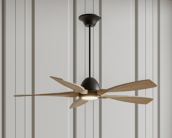 吊扇灯 风扇灯3d模型