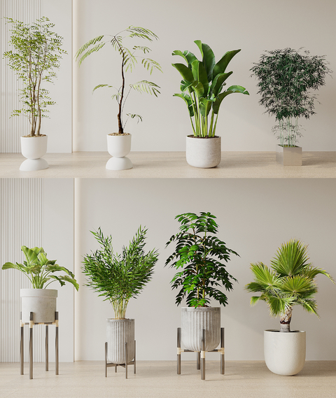 绿植盆栽 景观绿植3d模型