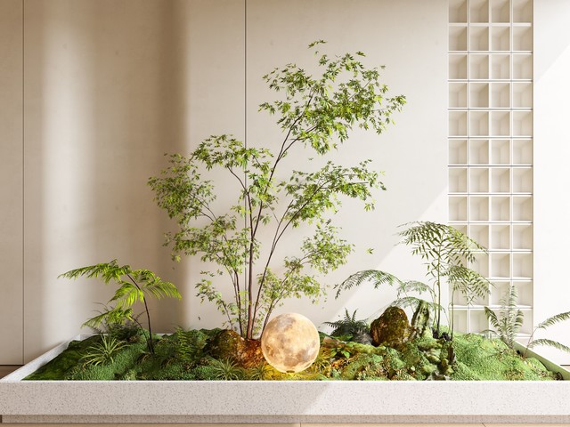 室内景观 景观小品 植物造景3d模型