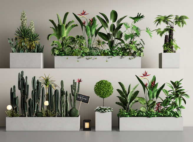 外摆花箱 植物堆 仙人掌 花池3d模型