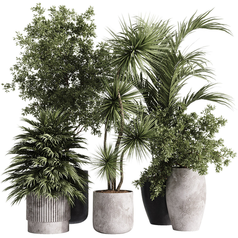 新中式绿植盆栽3d模型下载