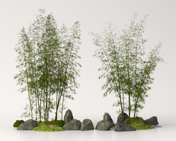 竹子 竹林 景观竹 园林竹3d模型下载