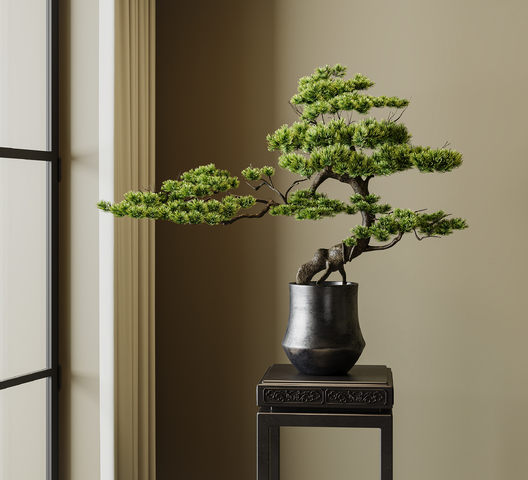新中式盆景  迎客松盆景  室内盆栽3d模型下载