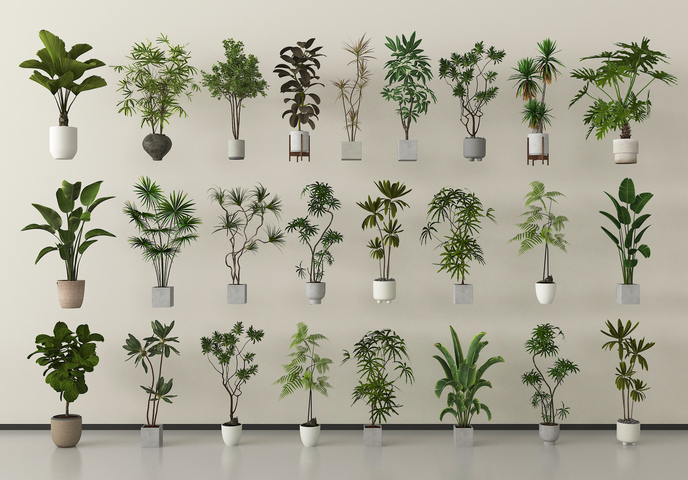 盆栽 绿植 盆栽 绿植盆栽组合3d模型下载