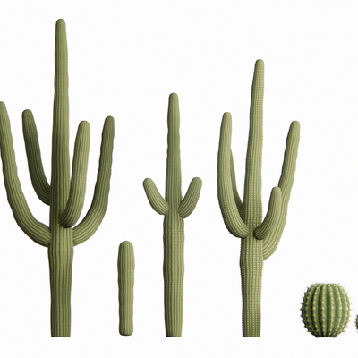  仙人掌 植物su模型 