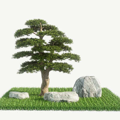  松树 石头 草地su模型 