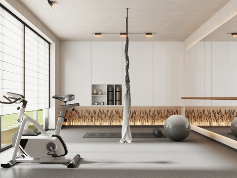  现代瑜伽室 健身房3d模型 