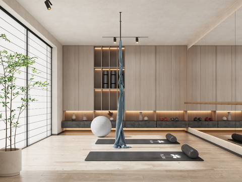  现代瑜伽室3d模型 