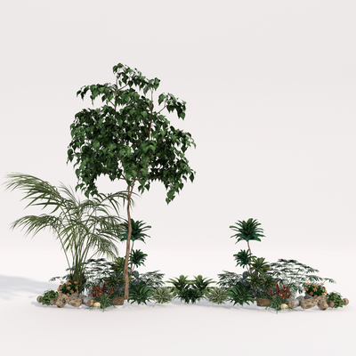  现代植物花草丛su模型 