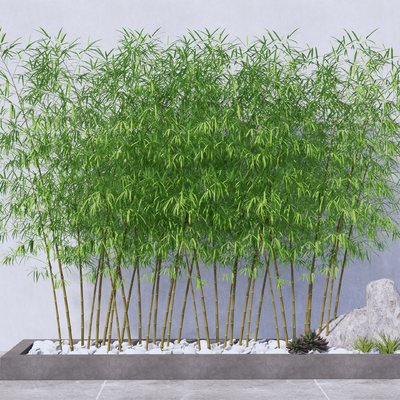  现代景观竹子su模型 