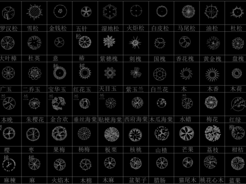  常用植物苗cad图库 