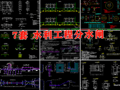 水利工程分水 平行双闸板 溢洪道钢闸门cad施工图 