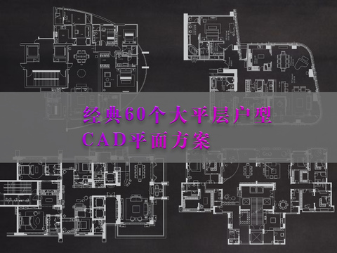  经典60个大平层户型CAD图库 