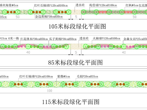  標(biāo)準(zhǔn)道路綠化CAD施工圖 