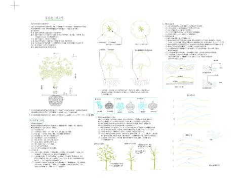  植物种植说明 标准种植cad施工图 
