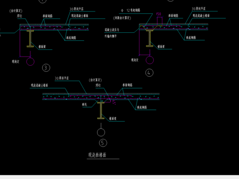  现浇板楼面节点 