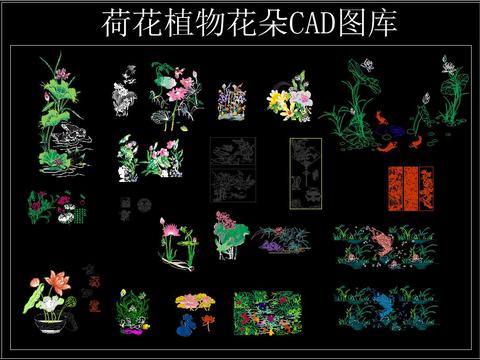  荷花植物花朵 CAD图库 