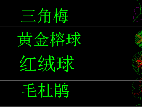  植物CAD图库 