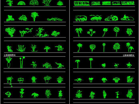  植物cad图库 