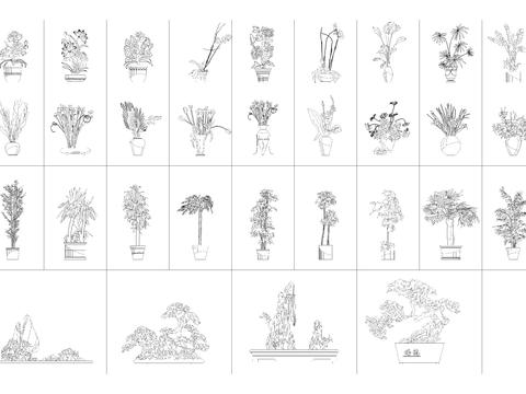  中式盆景盆栽花卉 