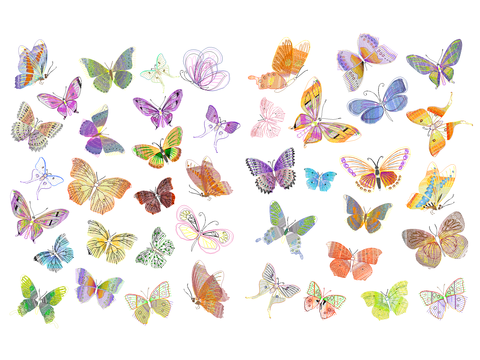  炫彩蝴蝶CAD图库 