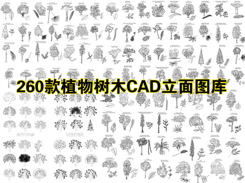  260款植物树木CAD立面图库 