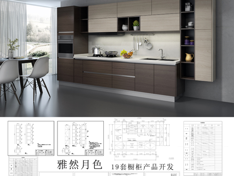 19套橱柜研发图纸 