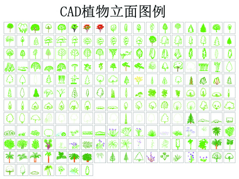  植物立面图例CAD施工图 