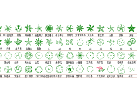  棕榈灌木图例cad图库 
