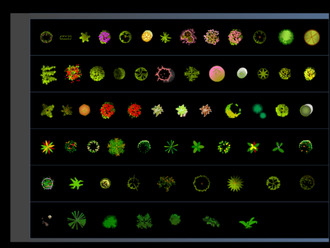  树木平面cad图库 