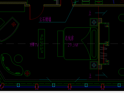  一个总统套房平面 