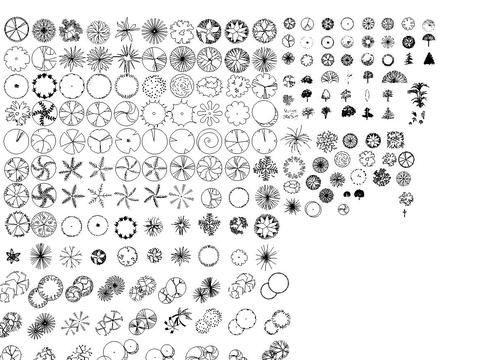 植物cad平面图例 
