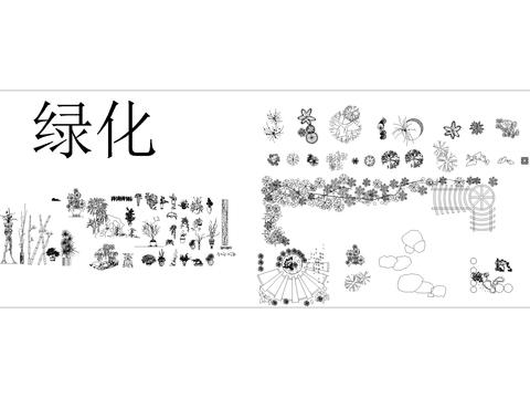  綠化植物組合cad圖庫 