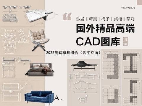  国外精整高端CAD图库 