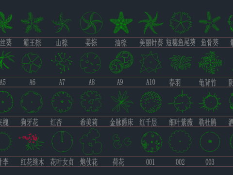  植物cad图库 