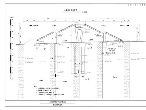  水產(chǎn)路人行天橋工程cad施工圖 