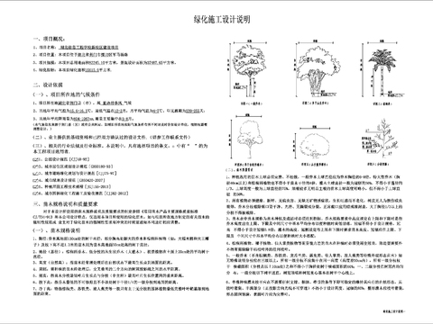  綠化CAD施工圖 
