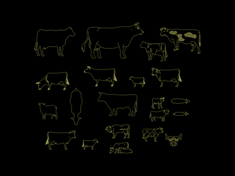  牛动物cad平面图 