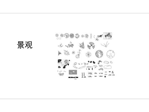  景观植物图例CAD施工图 