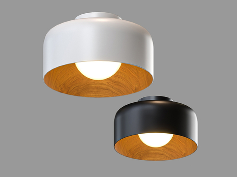  LampsShop 吸顶灯3d模型 