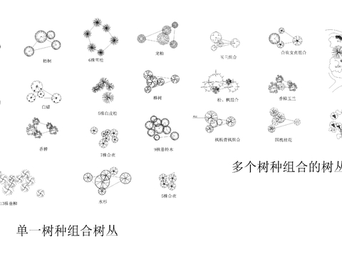  树种组合cad图库 